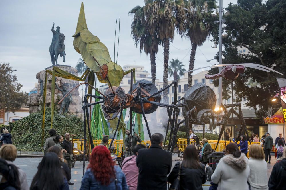 Palma "flipa" con el encendido de Navidad