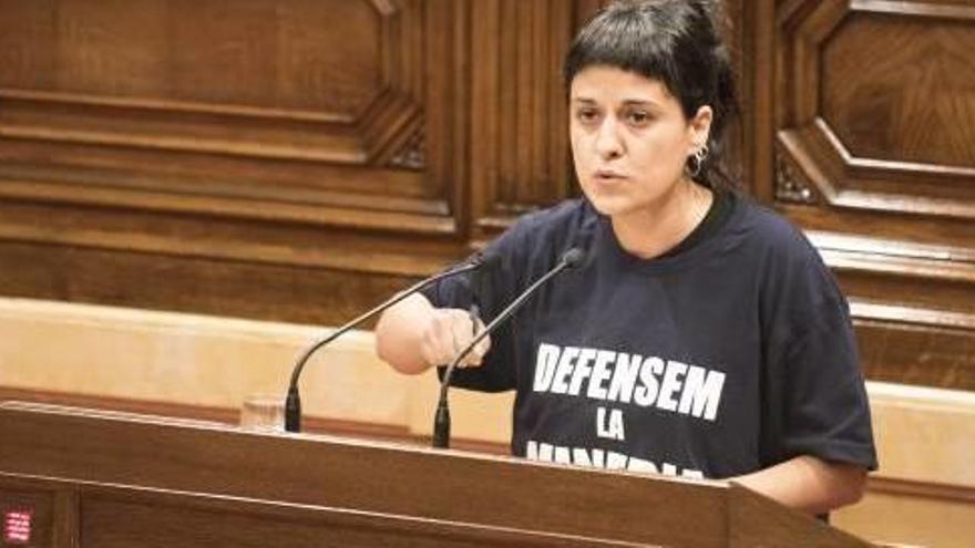 Anna Gabriel, en una de les darreres intervencions al Parlament