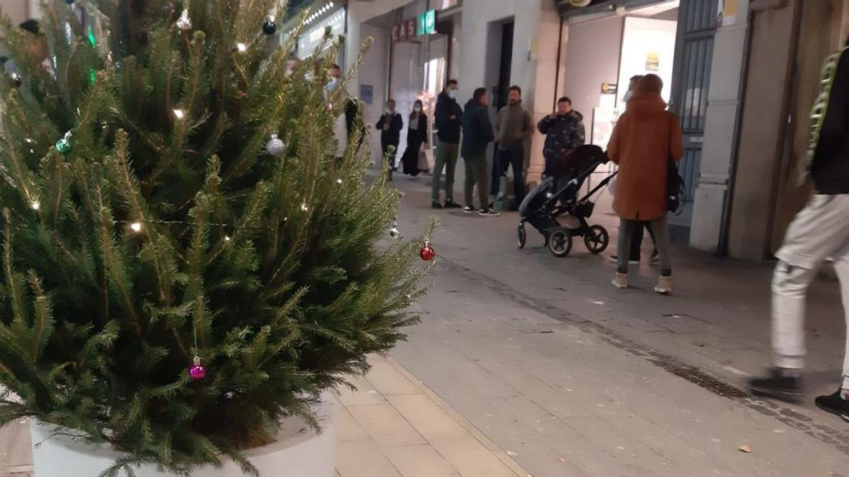 Els carrers de Figueres s’omplen d’avets nadalencs | MAIRENA RIVAS