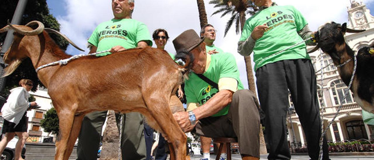 La leche de &#039;Petronila&#039; entra en campaña