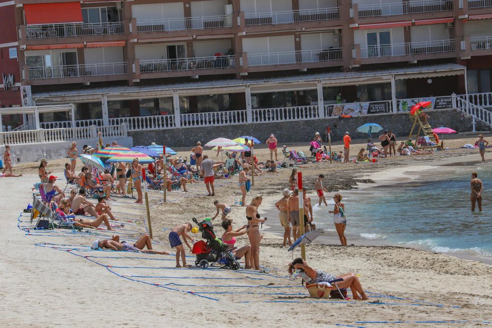 Primer día de baño autorizado en las playas de Torrevieja con arena parcelada y controles de acceso