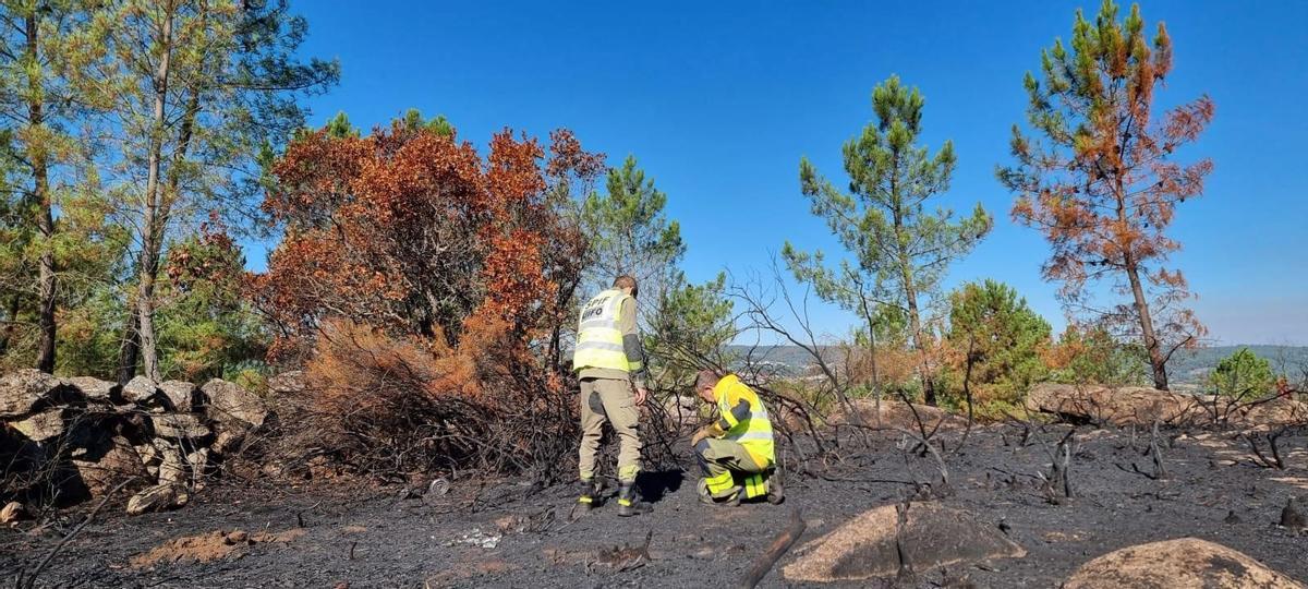 Agentes de la UIFO trabajan en la recolección de pruebas