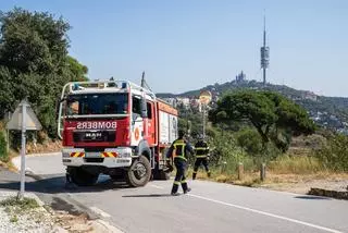 Barcelona activa la campaña de incendios en Montjuïc y Collserola mientras se mantienen las restricciones por la peste porcina