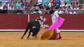 El cordobés Manuel Quintana, anunciado en las novilladas de promoción de La Maestranza de Sevilla