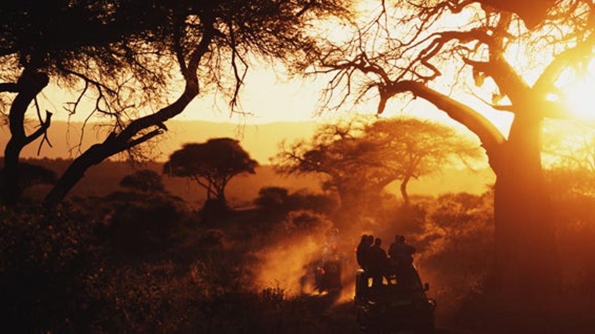 Tarangire, la sabana de los baobabs