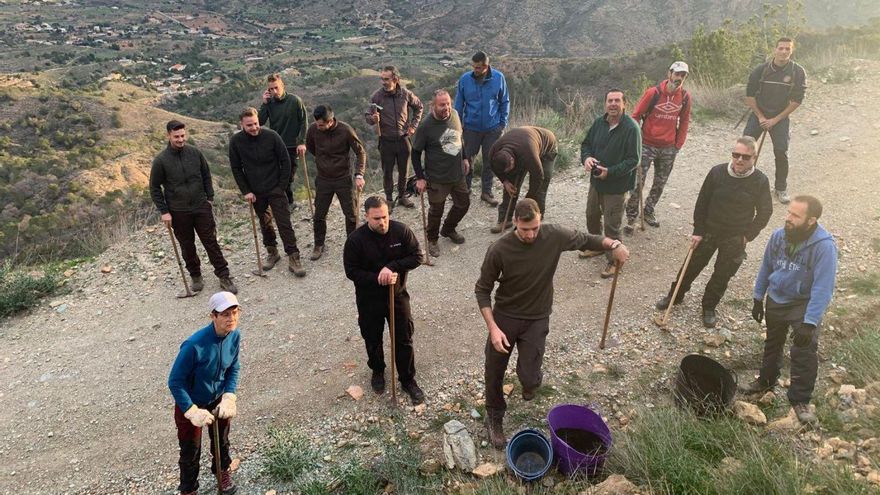 Plantan 144 árboles para evitar desprendimientos en un talud de la Sierra de La Muela