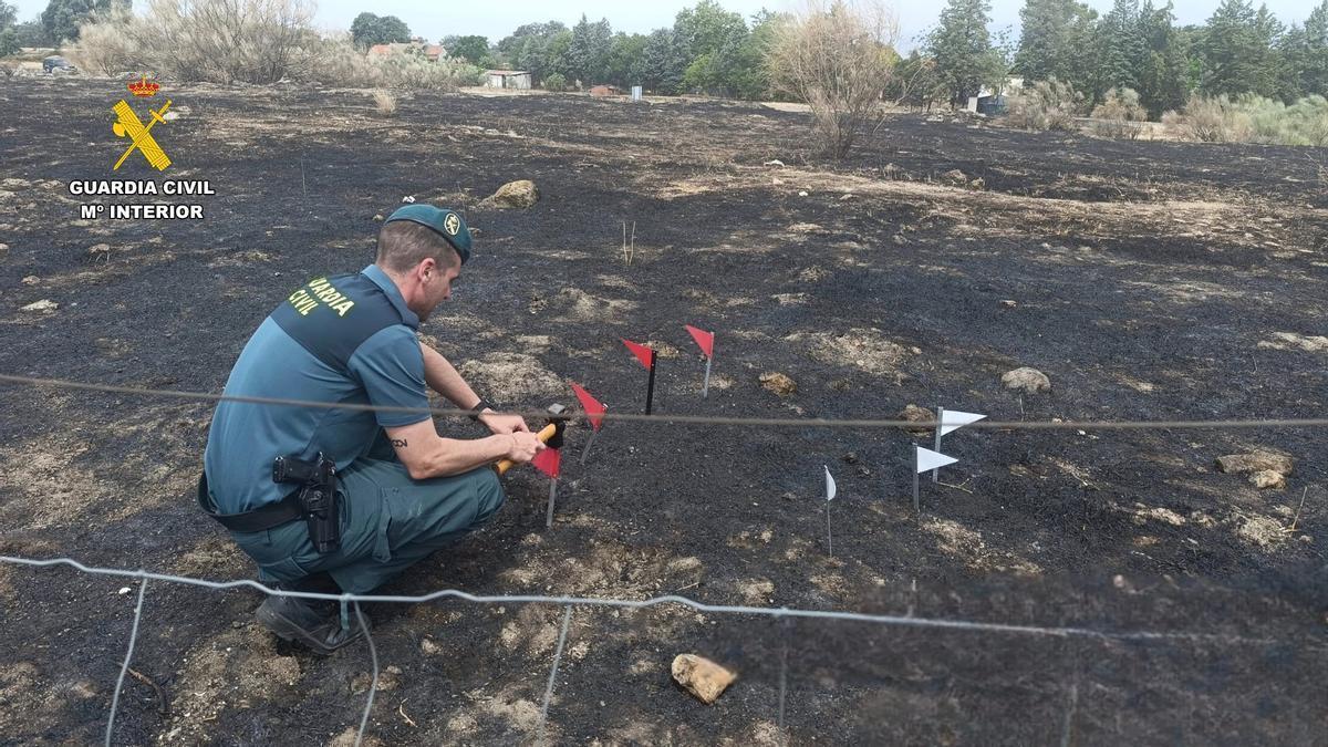 Vídeo | Detenido el autor de un incendio forestal en Navalmoral de la Mata