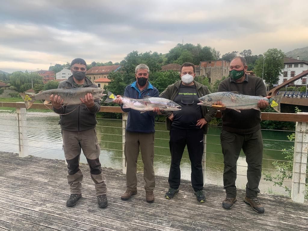 8. CUPO SALMONES EN NISERAS (CARES), 4 de junio, POR PESCADORES SIERENSES.jpg