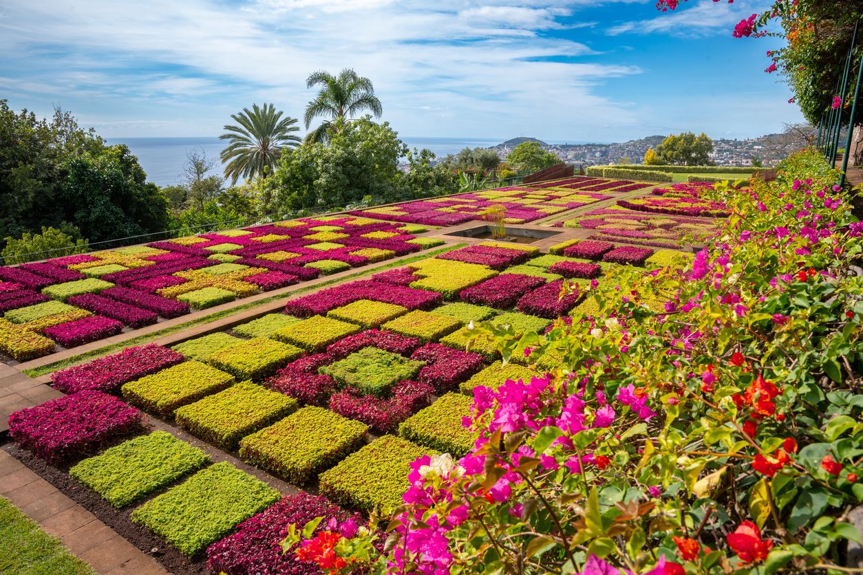 El jardín botánico de Funchal cuenta con más de dos mil plantas exóticas de todos los continentes.