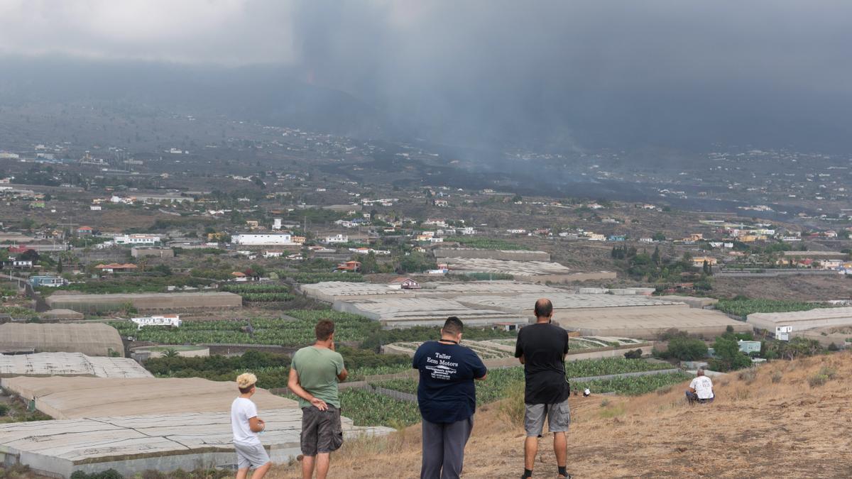 Las imágenes de la erupción volcánica en La Palma y sus devastadoras consecuencias