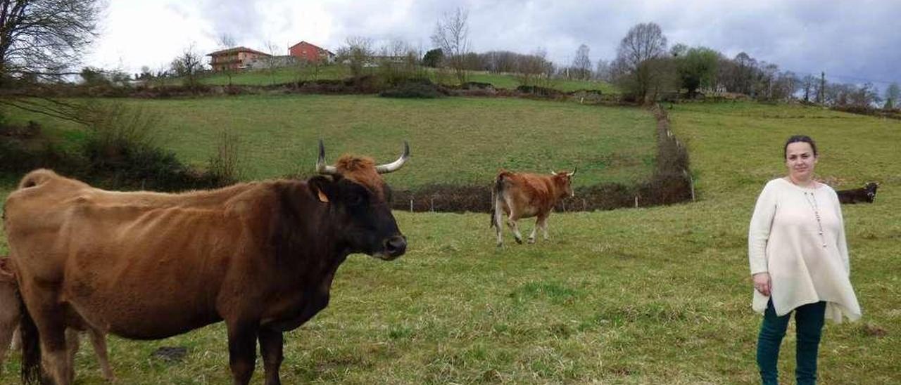 María González Arbesú, ayer, con algunas de sus vacas, en una de sus fincas en Hevia.