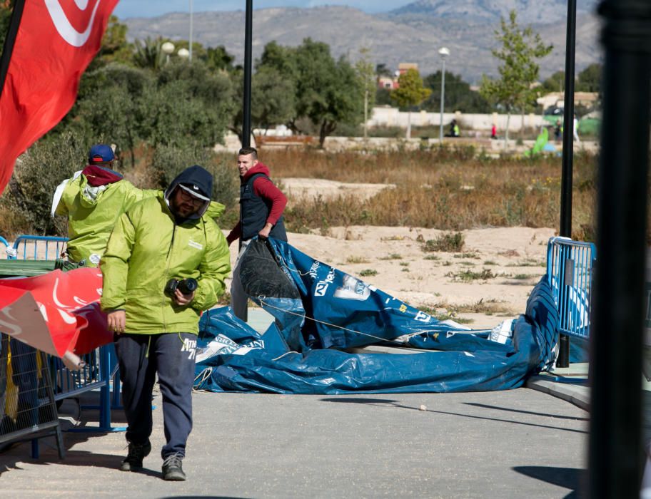 Can We Run: Gran carrera de perros para la concienciación animal