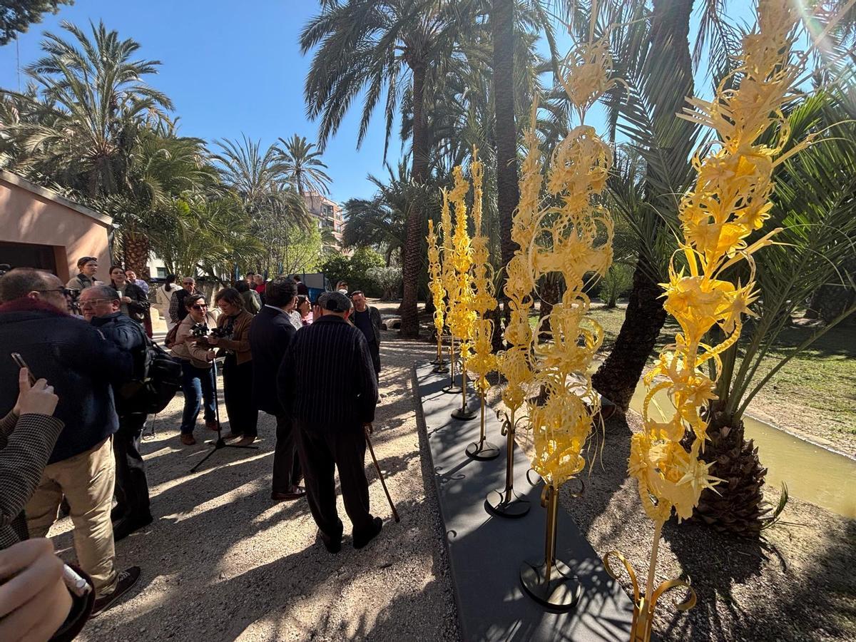 El huerto de San Plácido en Elche ha sido un año más testigo de la presentación de las palmas de las autoridades