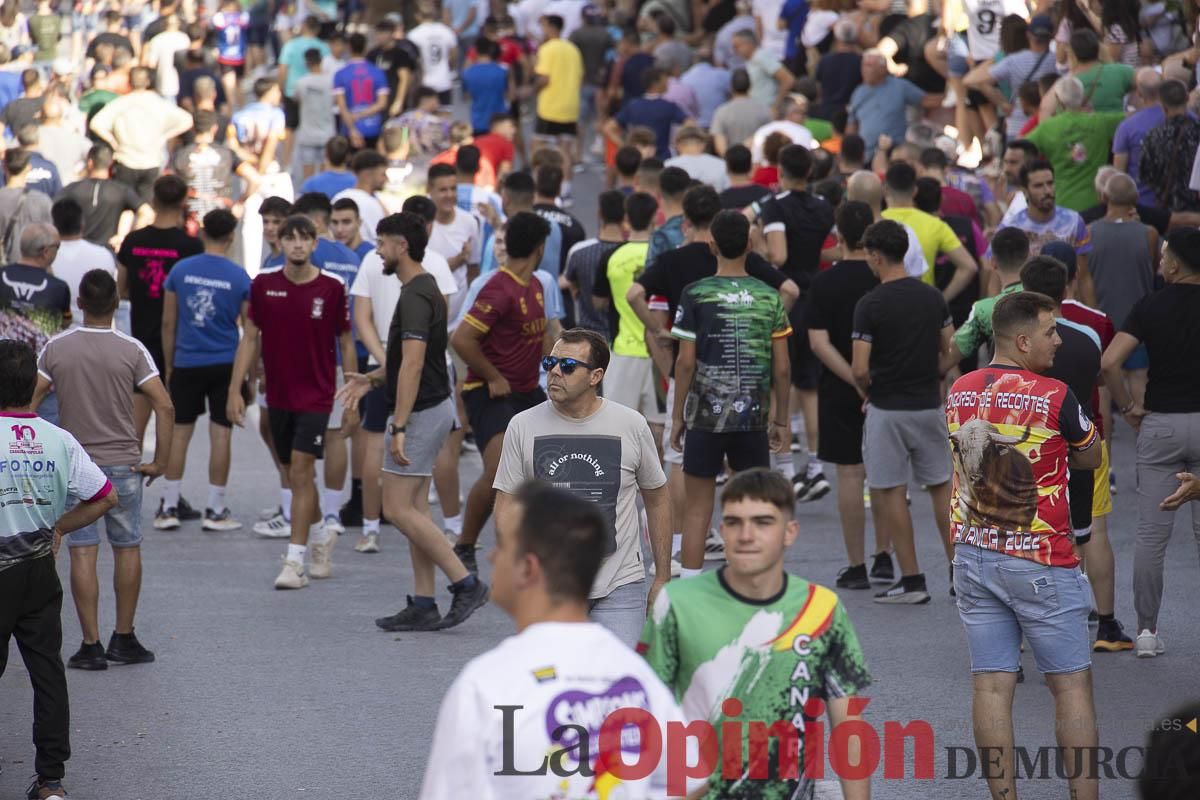 Quinto encierro de las Fiestas de Moratalla