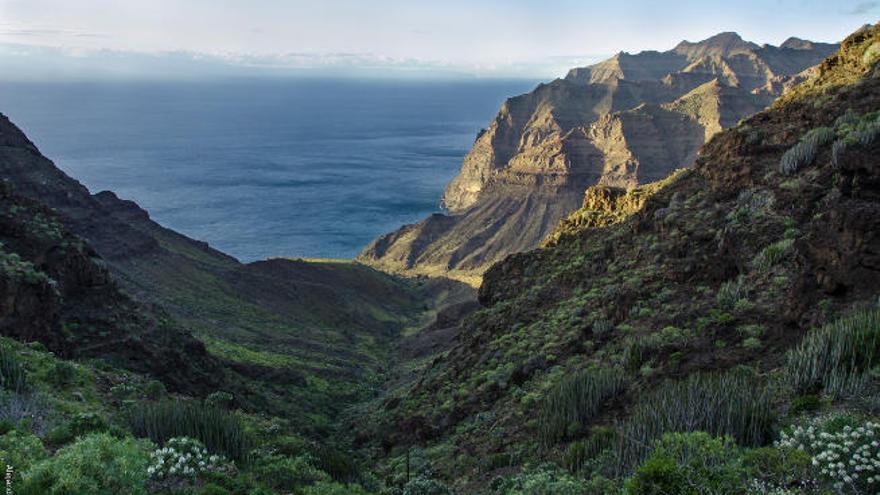 Imagen del Barranco de Guguy realizada por Alejandro Melián.