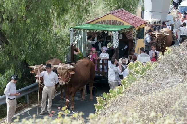 18/06/2016 ARUCAS . Romeria de ARUCAS. Foto: SABRINA CEBALLOS