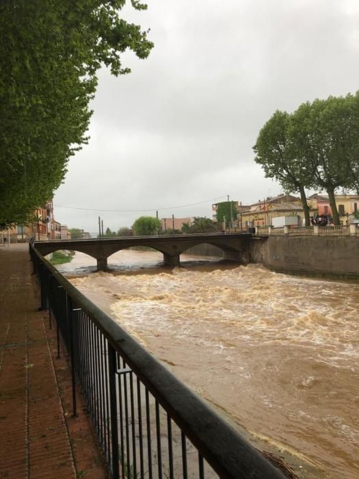 El riu Daró amb el cabal crescut per la pluja