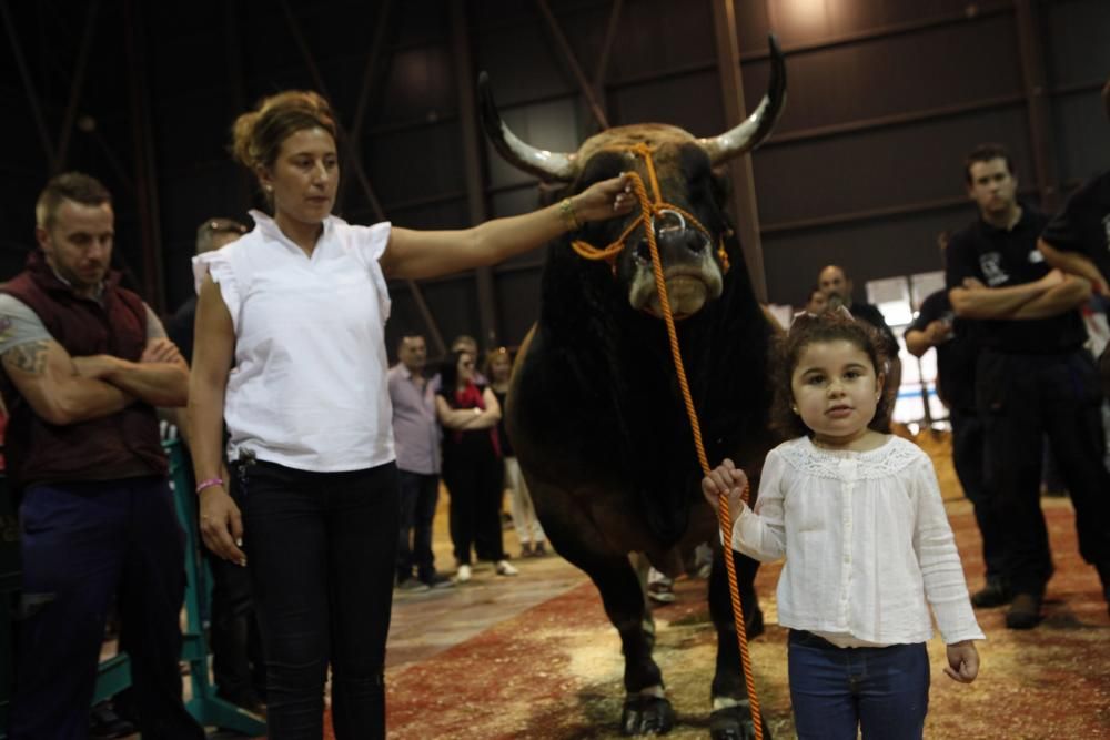 Feria ganadera de San Antonio