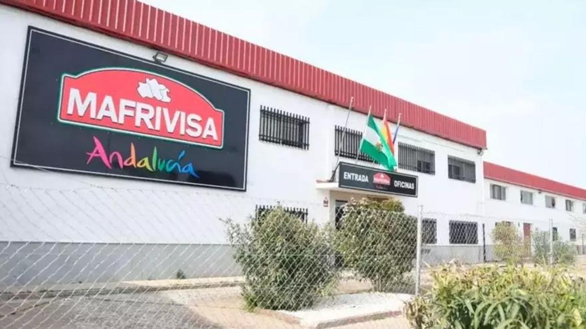 Antiguo matadero municipal de Villanueva de Córdoba, donde se ha producido el acto vandálico.