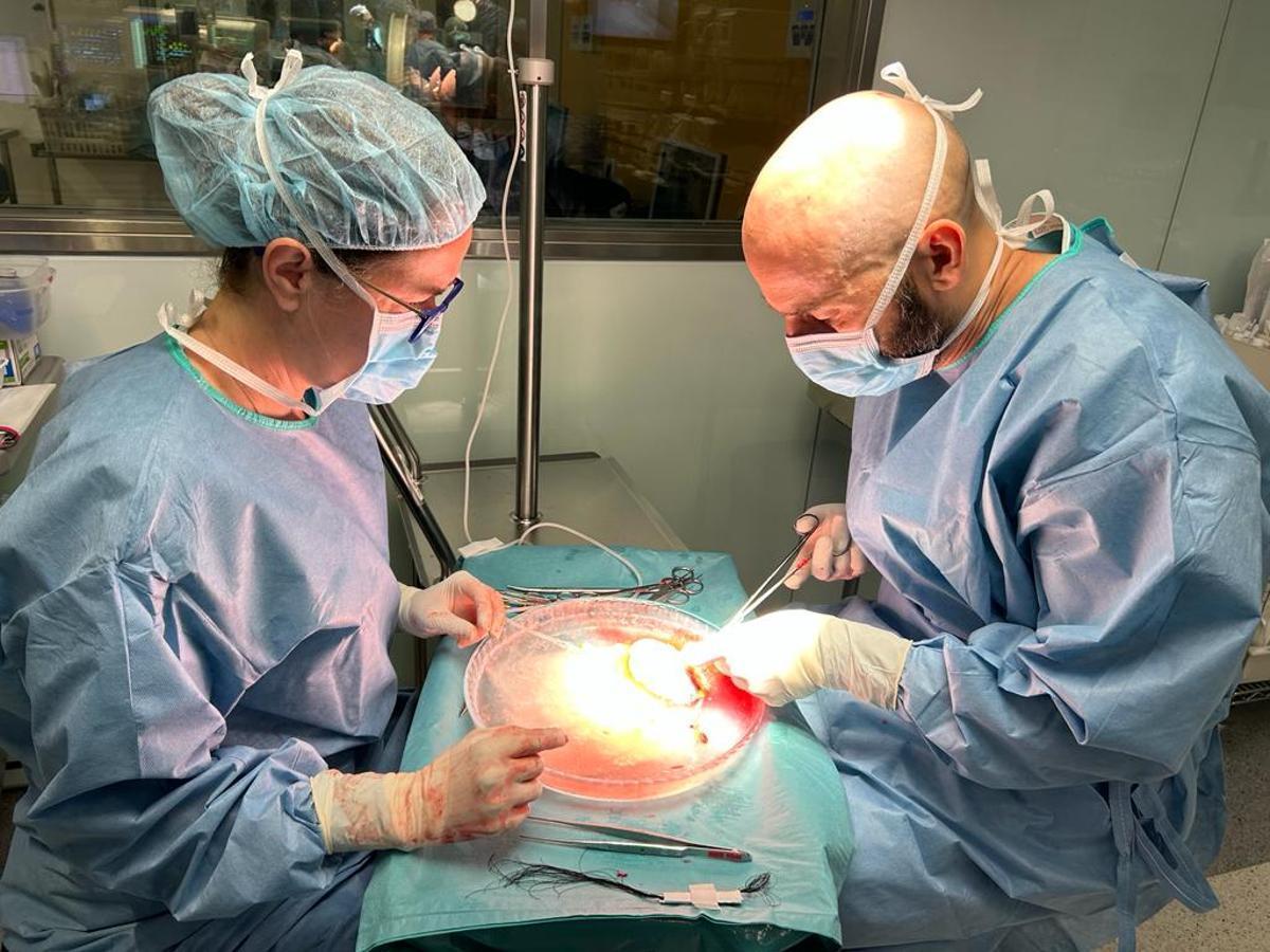 Tres parelles implicades en un trasplantament renal creuat entre Espanya i Itàlia