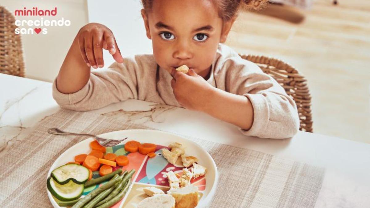 Alimentas a tus hijos siguiendo el Plato de Harvard? Lucía, mi pediatra nos  cuenta cómo hacerlo - La Opinión de Zamora