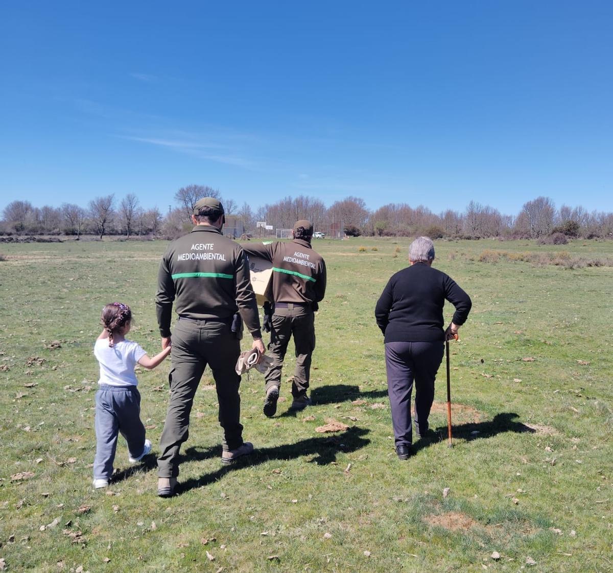 Suelta del milano herido y recuperado en Cernadilla