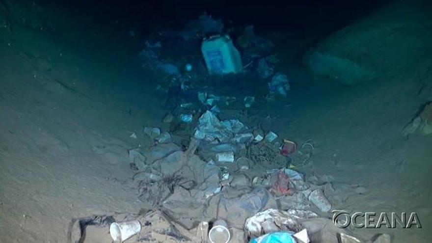 El 99% del plástico termina en aguas profundas, según un informe de Oceana