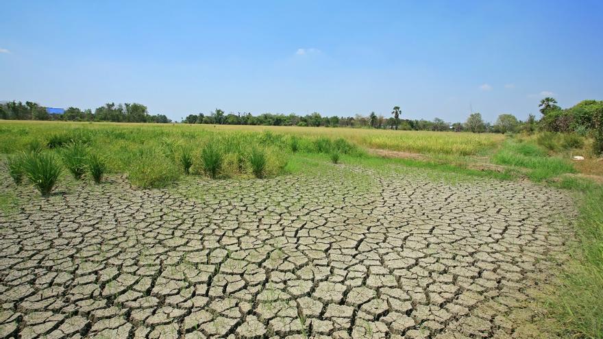 Estos son los países que más pelean por reducir los efectos del cambio climático