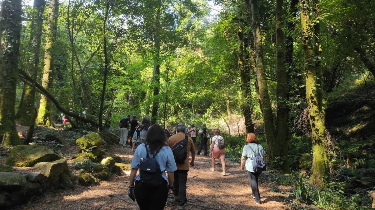 Uno de los recorridos naturales de +Bosques.
