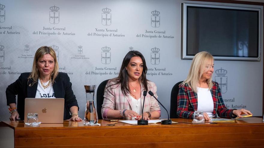 Vox rechaza implantar zonas tensionadas en Asturias por ser "un ataque directo a la propiedad privada", y advierte de sus consecuencias