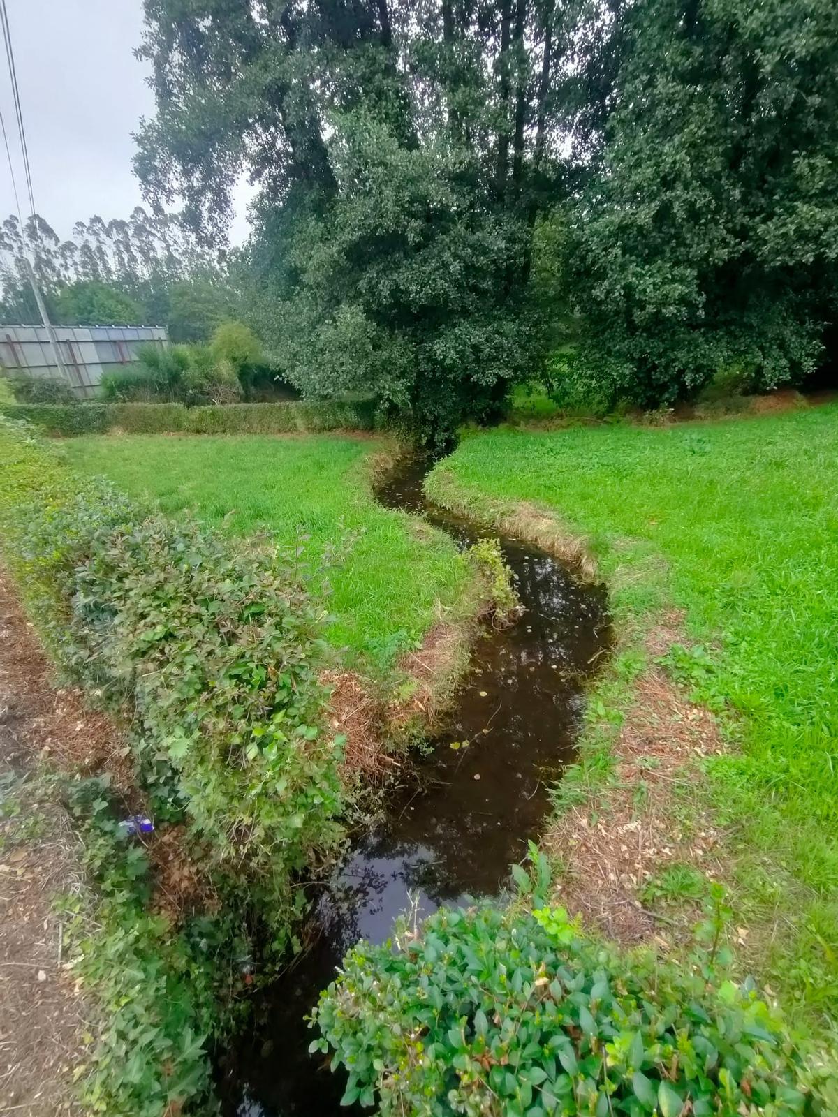 El pequeño Dornas, afluente del Xallas que conserva su caudal
