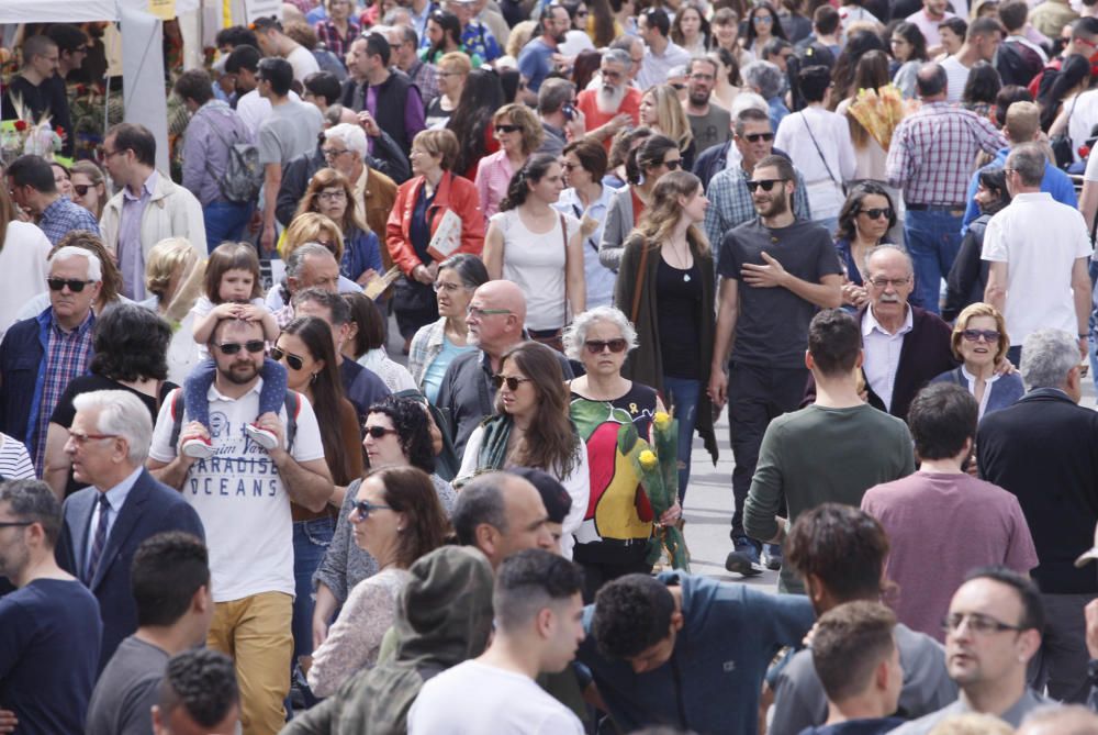 Sant Jordi a Girona