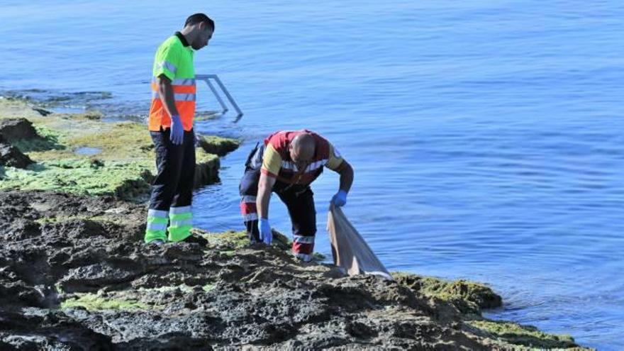 El cuerpo flotando fue avistado junto al espigón de Punta Margalla, en la playa del Cura/Foto Joaquín Carrión