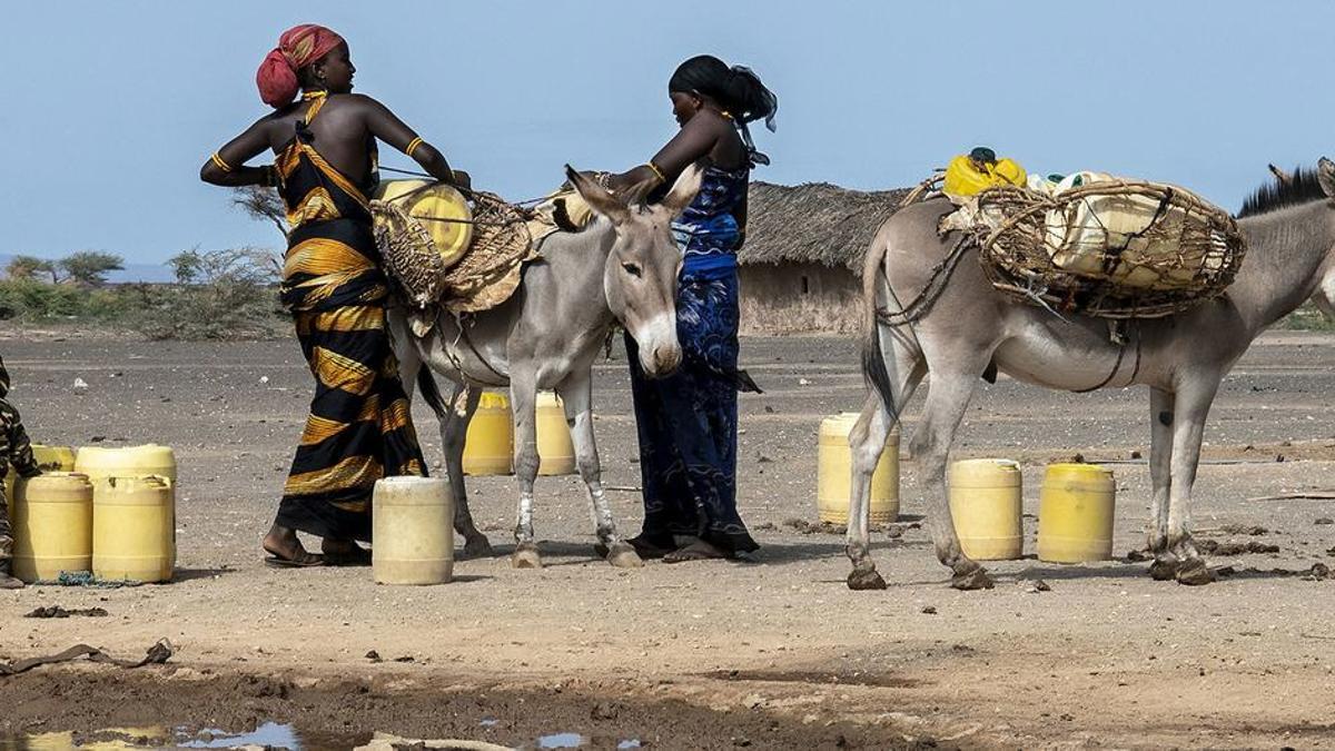 Mujeres recogiendo agua en Marsabit, al norte de Kenia, una zona azotada por la sequía.