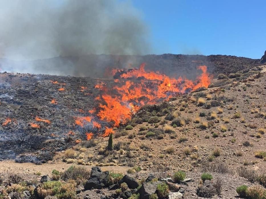 Conato de incendio en las Cañadas del Teide