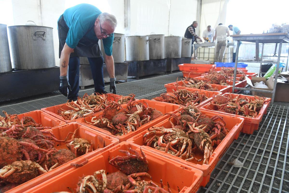 Fiesta da Centola de Lorbé, en Oleiros