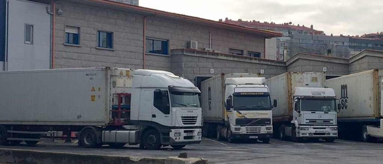 Camiones conectados a las bocas del PIF de Vigo para la inspección de contenedores. // FdeV