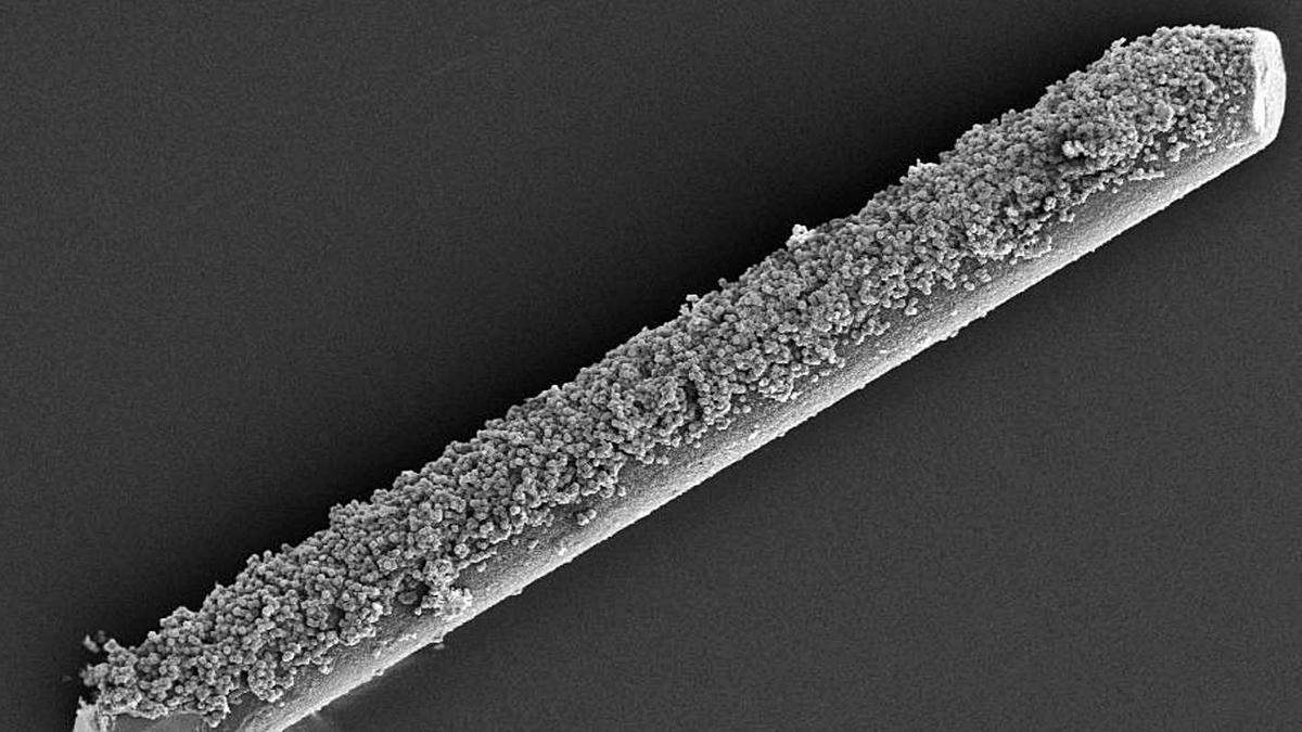 Ampliación a microscopio donde se puede observar la fibra de nitinol cubierta de la red de cristales patentada. | | E.D.