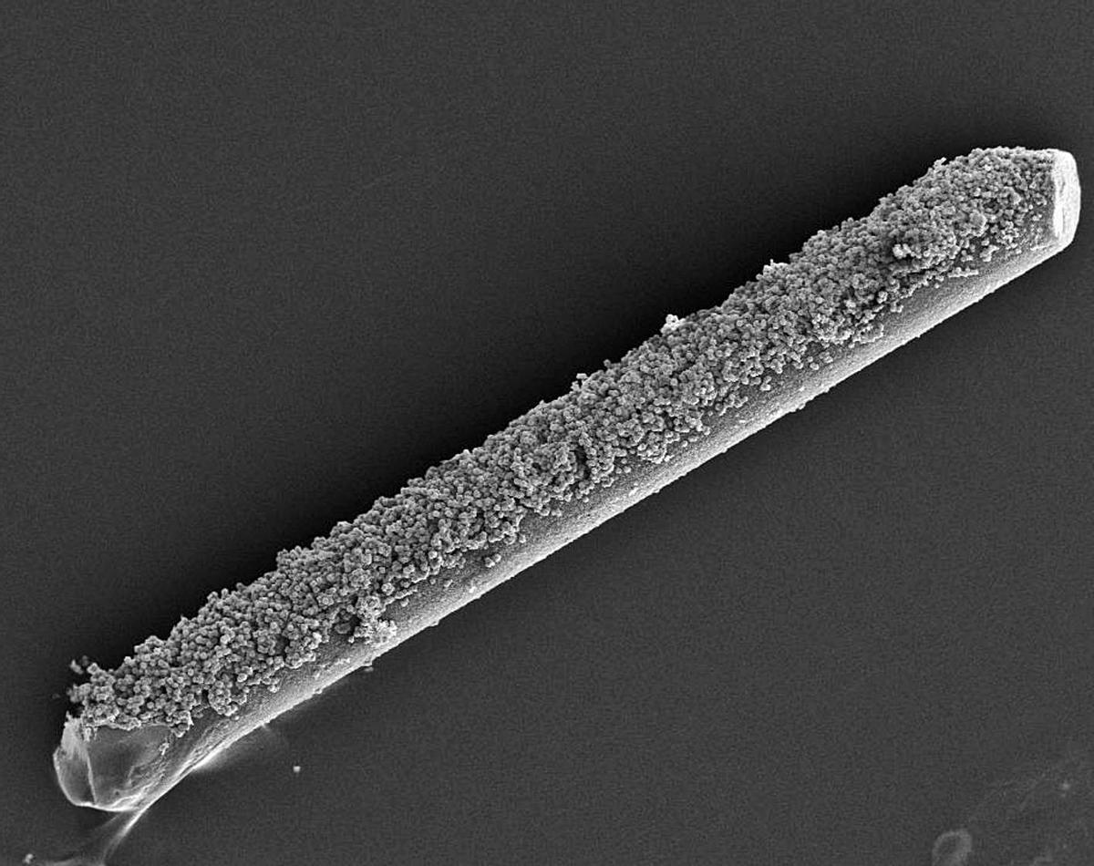 Ampliación a microscopio donde se puede observar la fibra de nitinol cubierta de la red de cristales patentada. | | E.D.