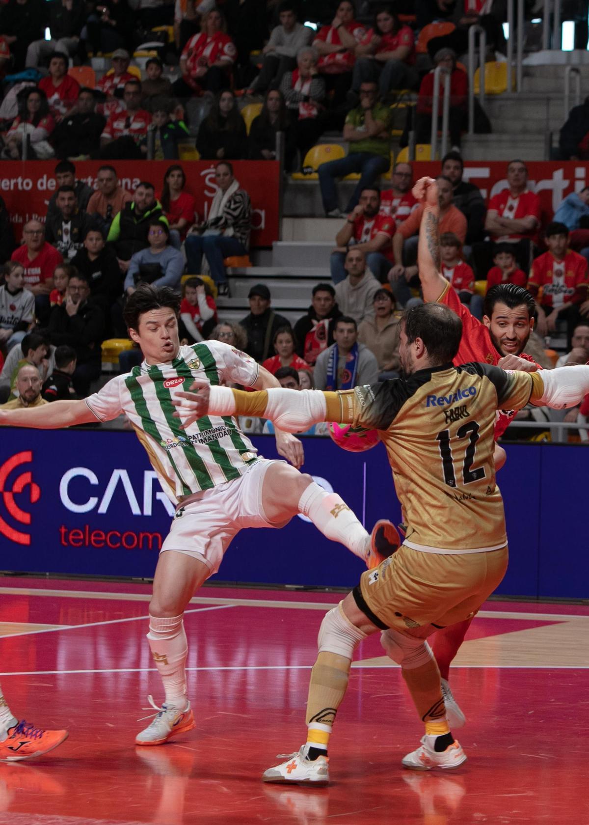 Las imágenes de la derrota de Jimbee Cartagena frente a Córdoba Las imágenes de la derrota de Jimbee Cartagena frente a Córdoba