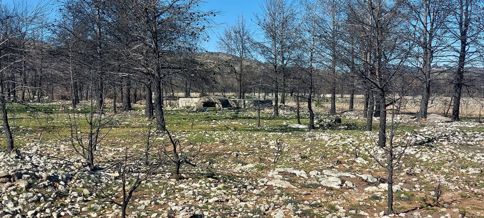 Las construcciones bélicas que ha encontrado Torás a raíz del incendio de Bejís
