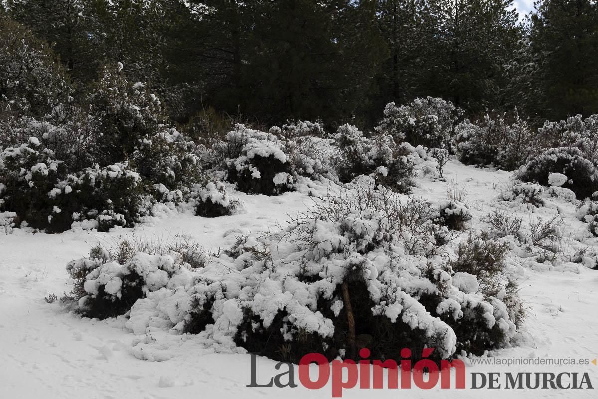 La borrasca Herminia tiñe de blanco la cima de la Región de Murcia
