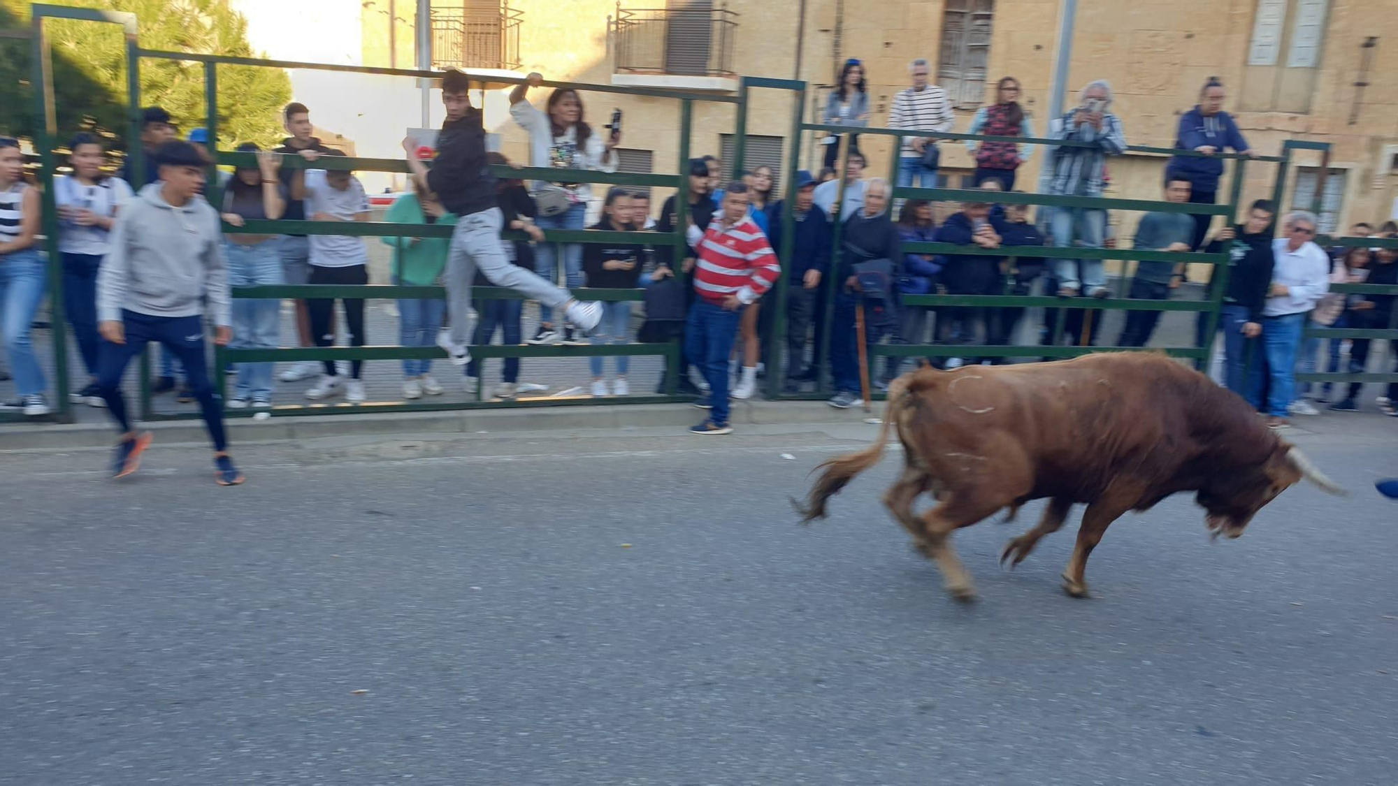 Encierro en la Bóveda de Toro
