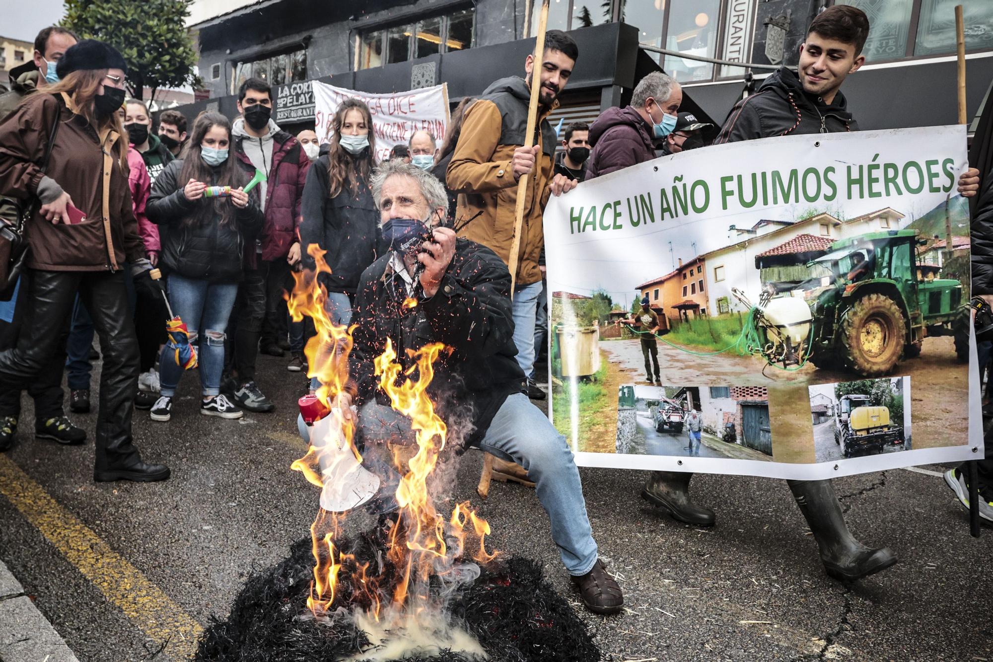 Tractorada en Oviedo de los trabajadores del campo asturiano: "No podemos más"