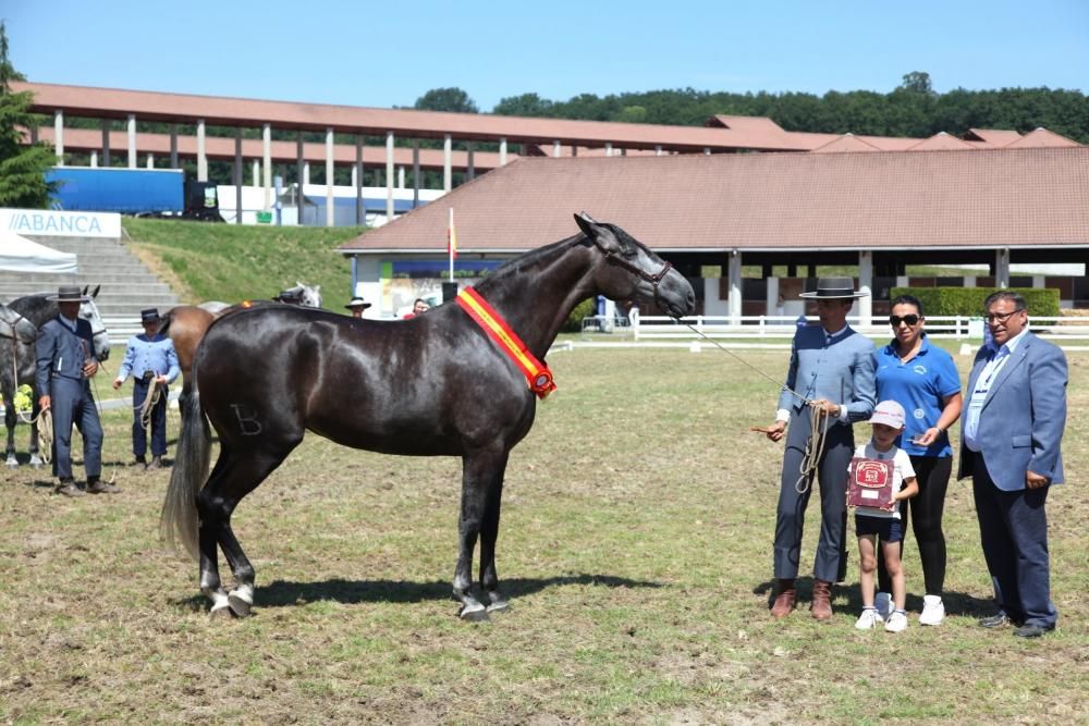 Atrevida, campeona absoluta de PRE.