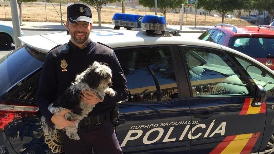 Un agente de la Policía Nacional posa con un perro rescatado.