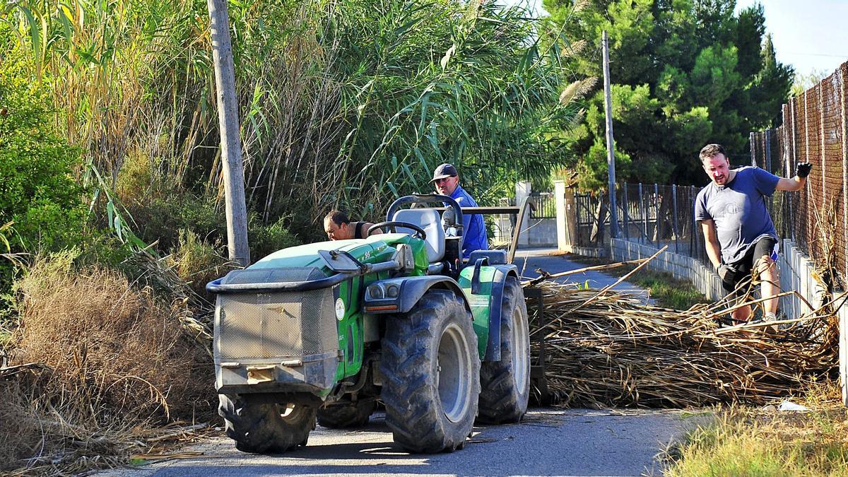 Vecinos con casas en el barranco de los Arcos limpian este domingo las cañas de los caminos con la ayuda de un tractor. | MATÍAS SEGARRA