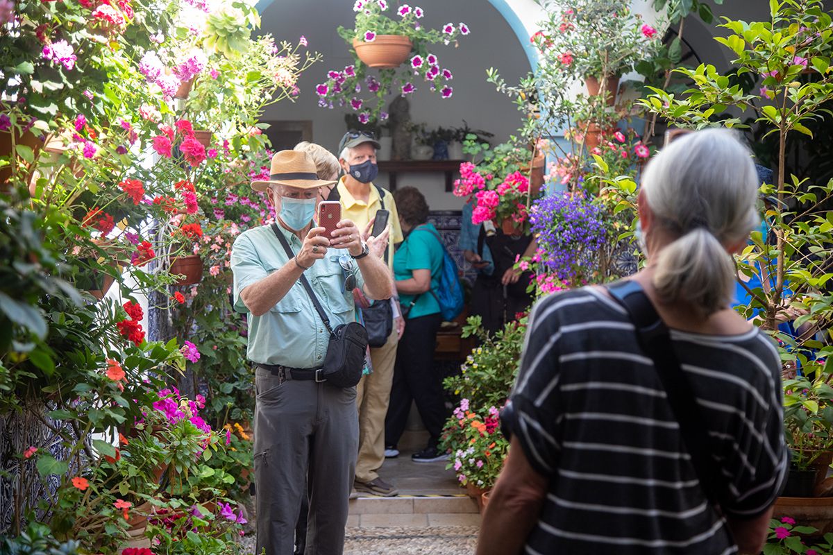 Patio, Pedro Fernández 6