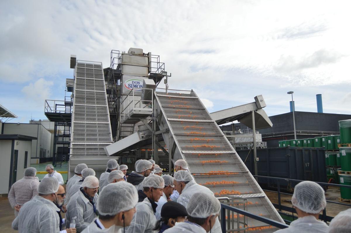 Agricultores de La Colonia de Fuente Palmera conocen la zona de recepción de naranja de la fábrica de Huelva.