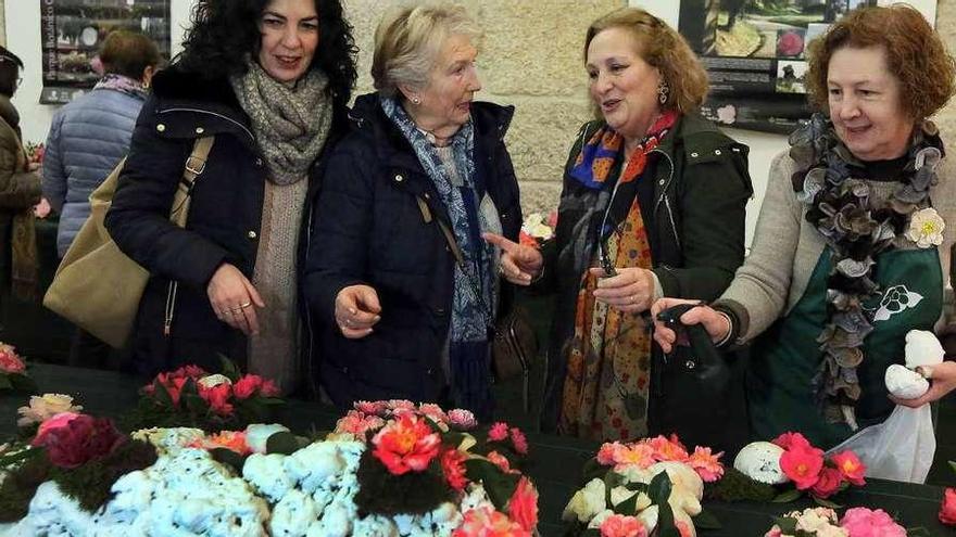 Tui se rinde ante la flor de invierno - Faro de Vigo